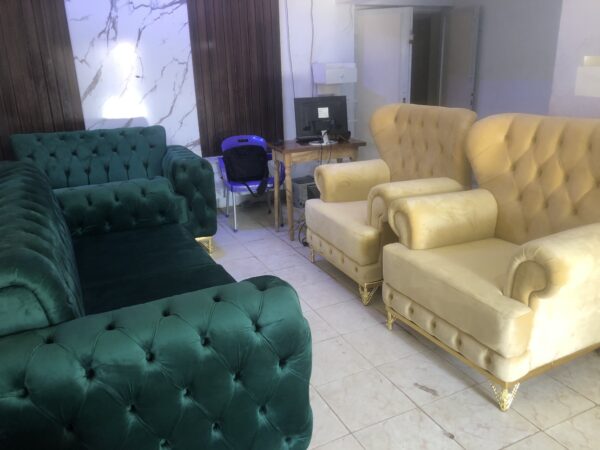 Dual Colour High Quality  Fabric Chair With Golden Legs